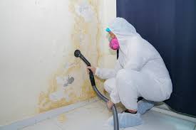 Best Water Damage & Mold Remediation  in Standish, MI